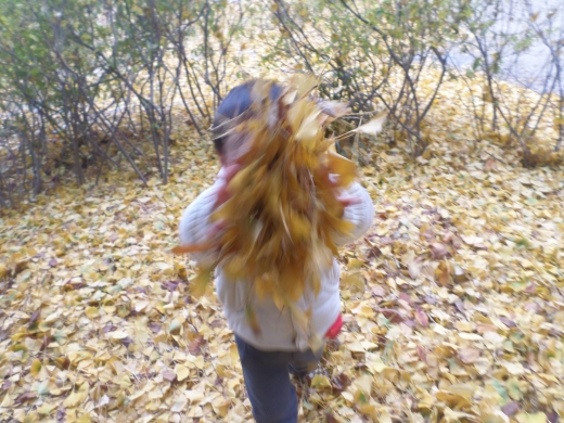 inschool2017111718074393963_520.jpg