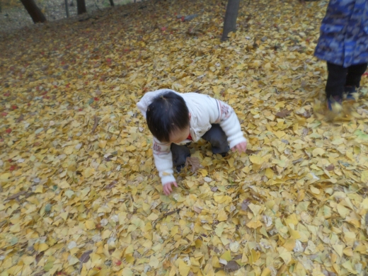 inschool201711171809344148_520.jpg