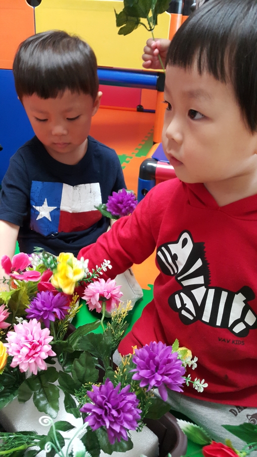 inschool20160607134273169_520.jpg